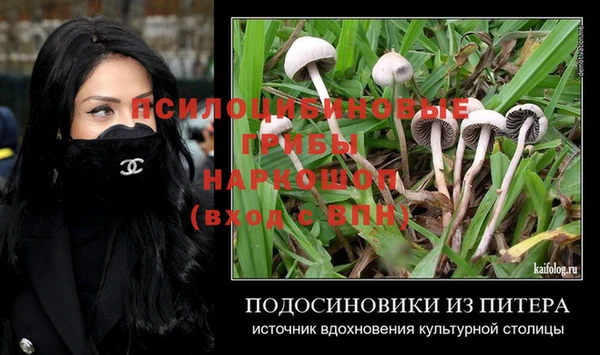 гидра Алексеевка