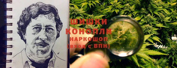 гидра Алексеевка