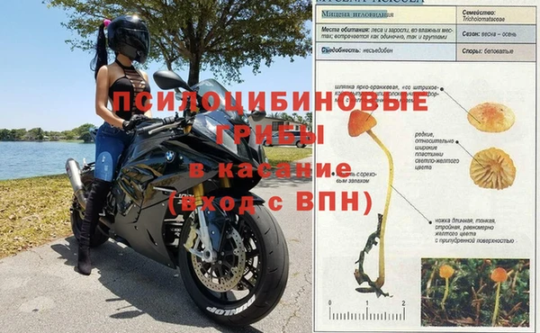 гидра Алексеевка
