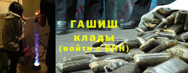 гидра Алексеевка